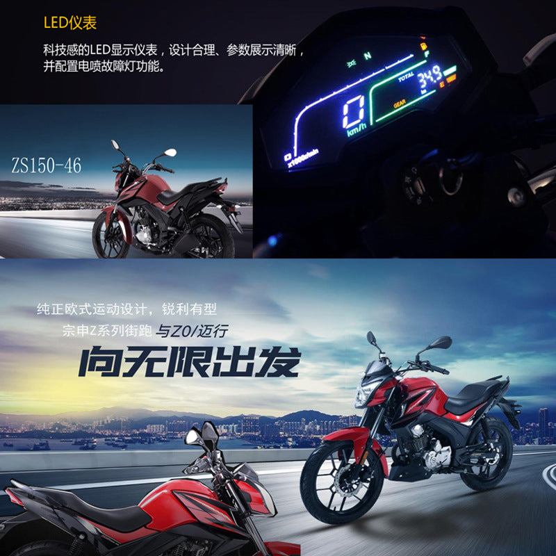 Zongshen ZS150-46 Street Fighter Dashboard - Z0 Maixing LCD Gauge Kit with Odometer/Tachometer/Fuel Gauge | Full Assembly